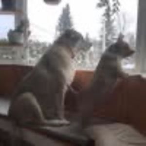 Meet your Posher, Brenda